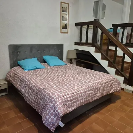 Daire 65 M2 Dans Avec Piscine Sur Banyuls-sur-Mer