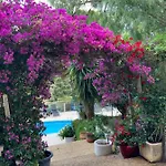 65 M2 Dans Avec Piscine Sur * Banyuls-sur-Mer