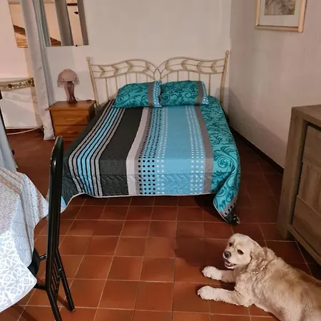 65 M2 Dans Avec Piscine Sur